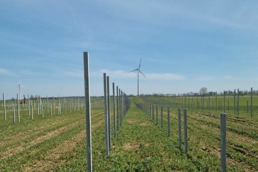 OZE Energia odnawialna, Farmy Wiatrowe Elmont Grupa