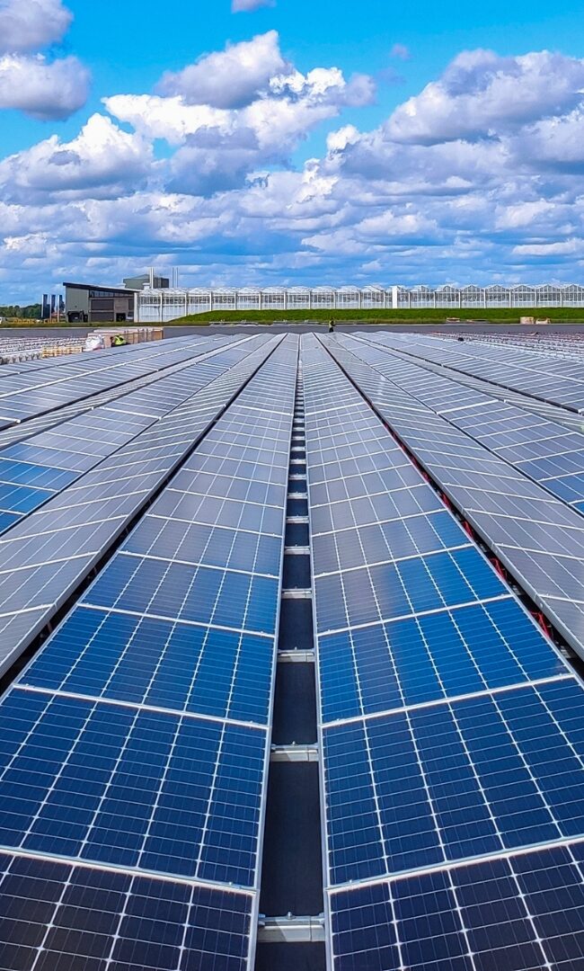OZE Energia odnawialna, Farmy Fotowoltaiczne Elmont Grupa